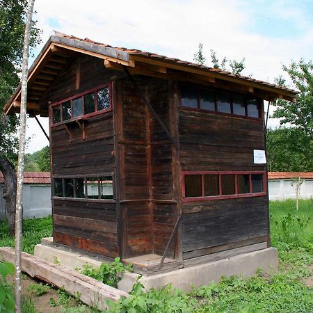 Transylvania Guesthouses Cincsor Bagian luar foto
