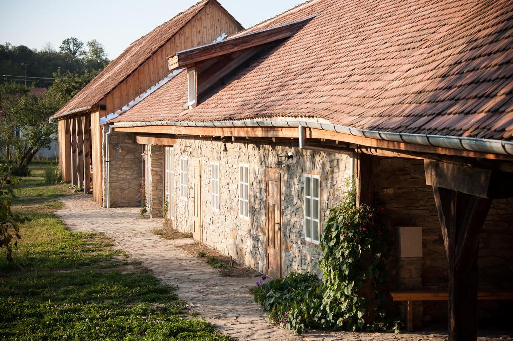 Transylvania Guesthouses Cincsor Bagian luar foto