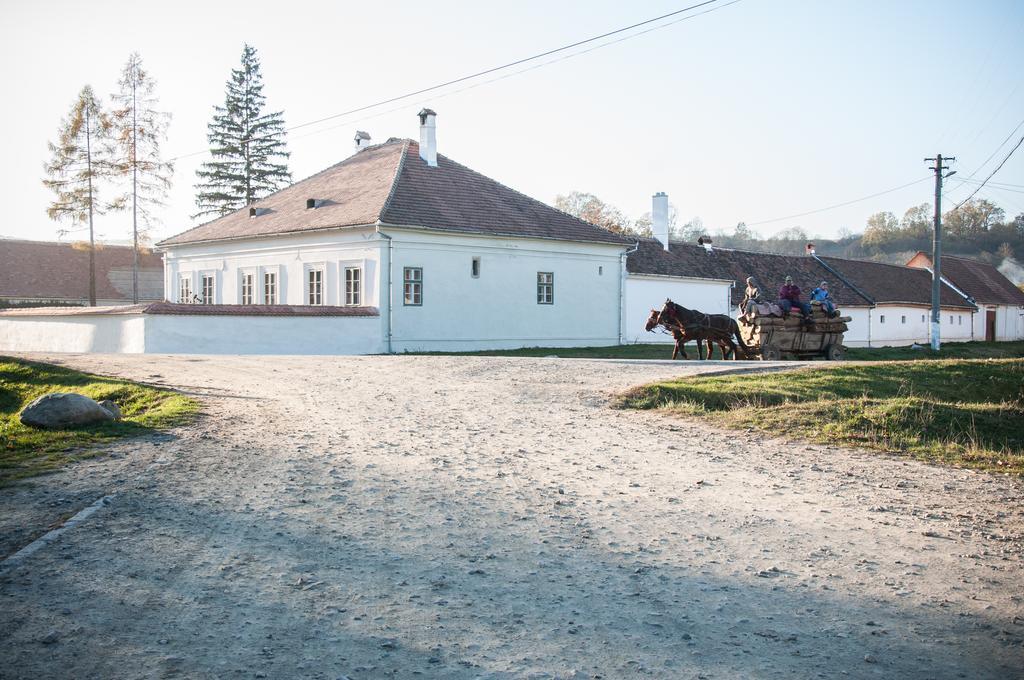 Transylvania Guesthouses Cincsor Bagian luar foto