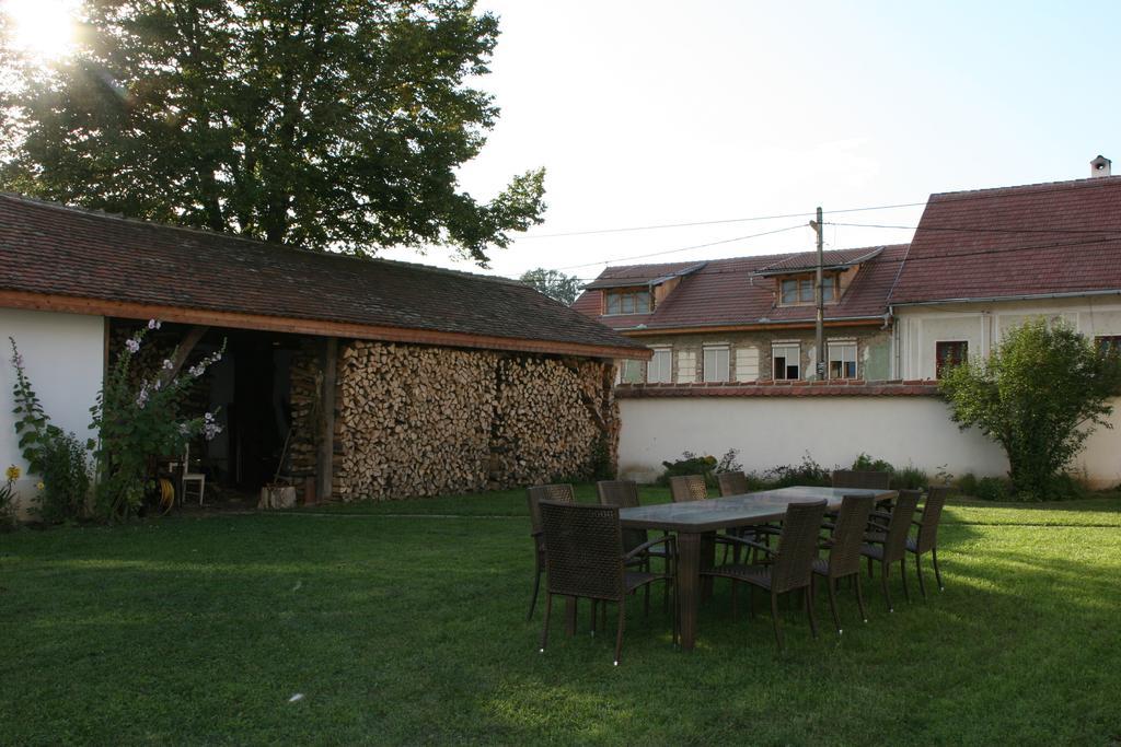 Transylvania Guesthouses Cincsor Bagian luar foto