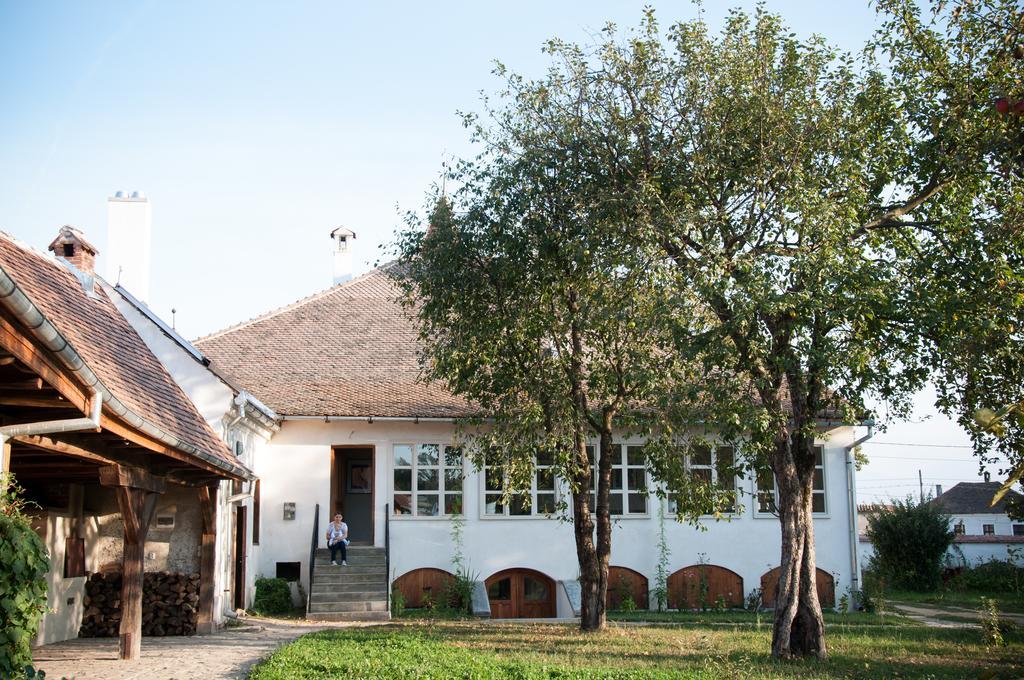 Transylvania Guesthouses Cincsor Bagian luar foto